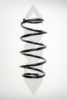 SPIDAN 55586 Coil Spring